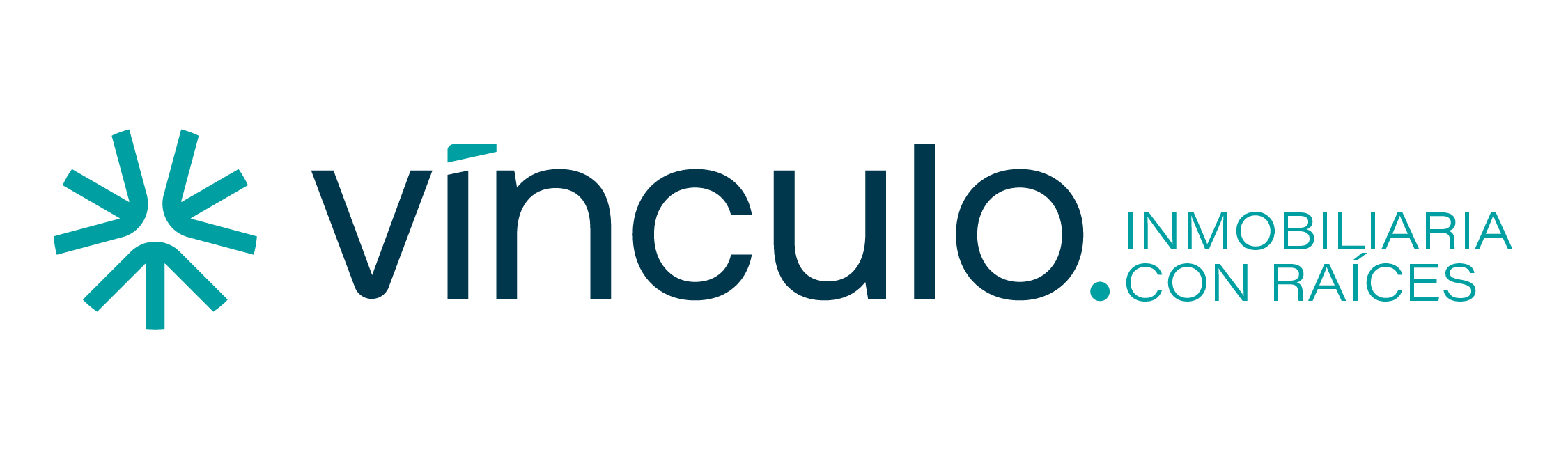 Vínculo